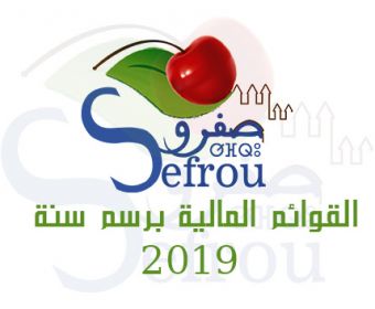 القوائم المالية برسم سنة  2019