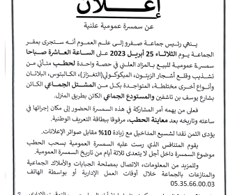 سمسرة الحطب